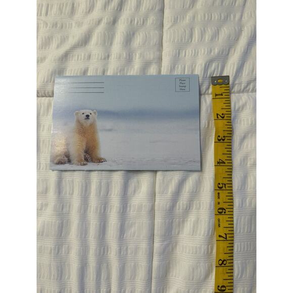 Lot of 5 Seasons Greetings Holiday Cards Polar Bear Winter Wildlife Blank - Picture 6 of 6
